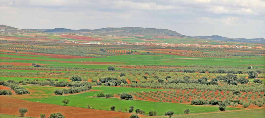 Foto de Castellar de Santiago (Ciudad Real), España