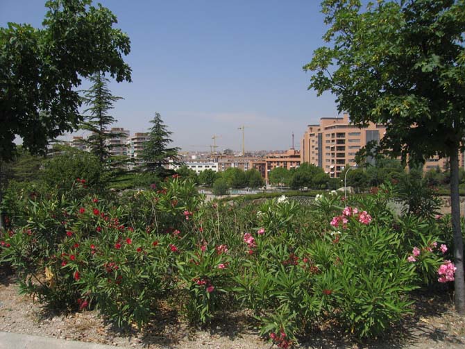 Foto de Madrid (Comunidad de Madrid), España