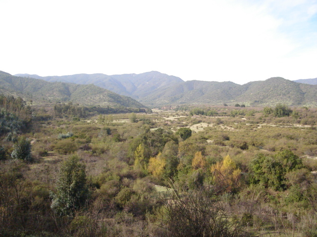 Foto de QUILPUE, Chile