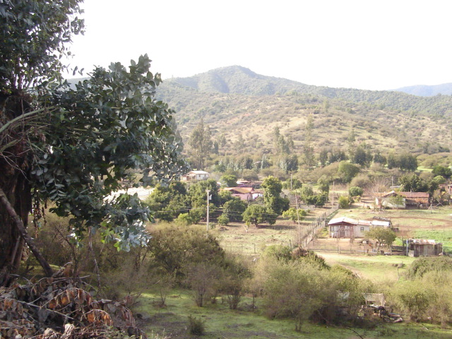 Foto de QUILPUE, Chile