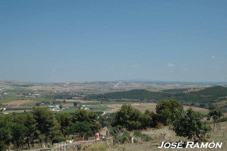 Foto de Serranía de Cádiz (Cádiz), España