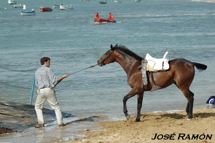 Foto de Sanlúcar de Barrameda (Cádiz), España