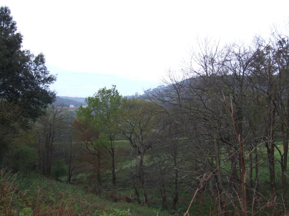 Foto de Pamanes (Cantabria), España