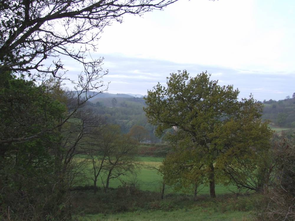 Foto de Pamanes (Cantabria), España