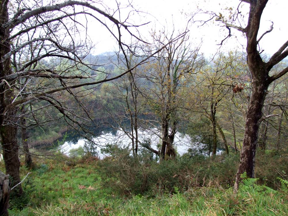 Foto de Pamanes (Cantabria), España