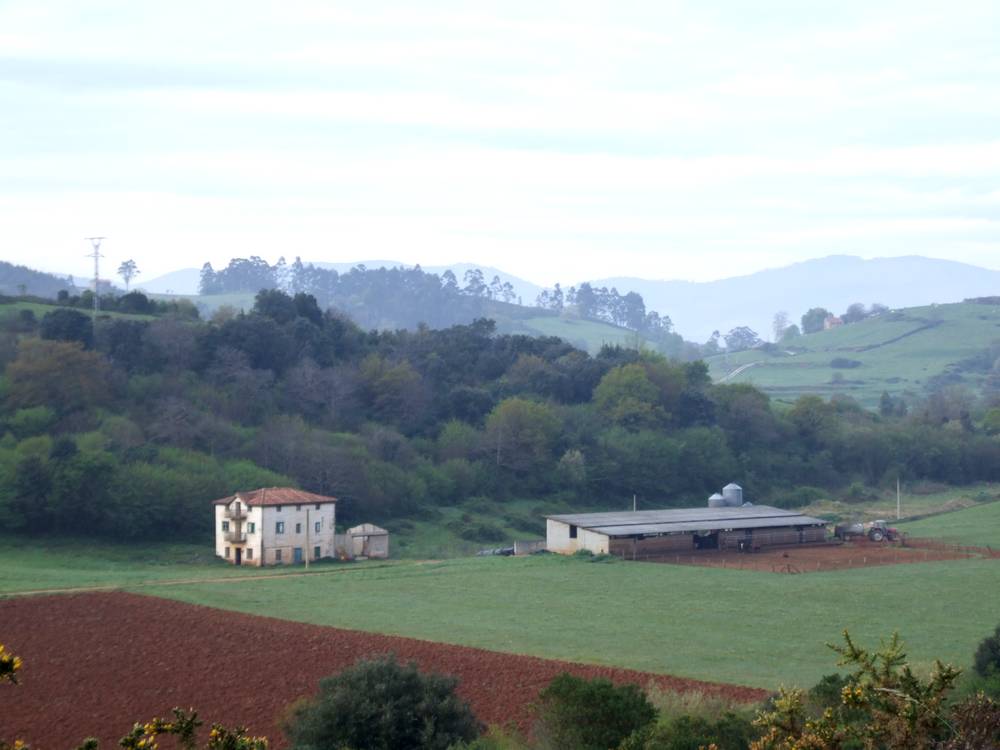 Foto de Pamanes (Cantabria), España