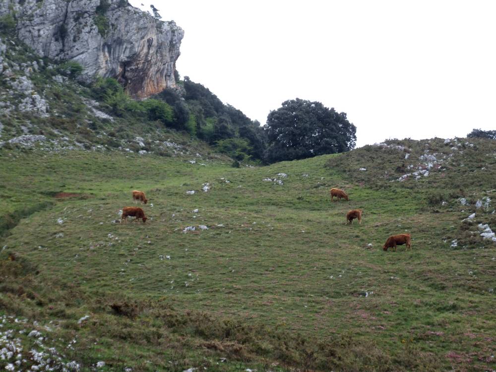 Foto de Peña Cabarga (Cantabria), España