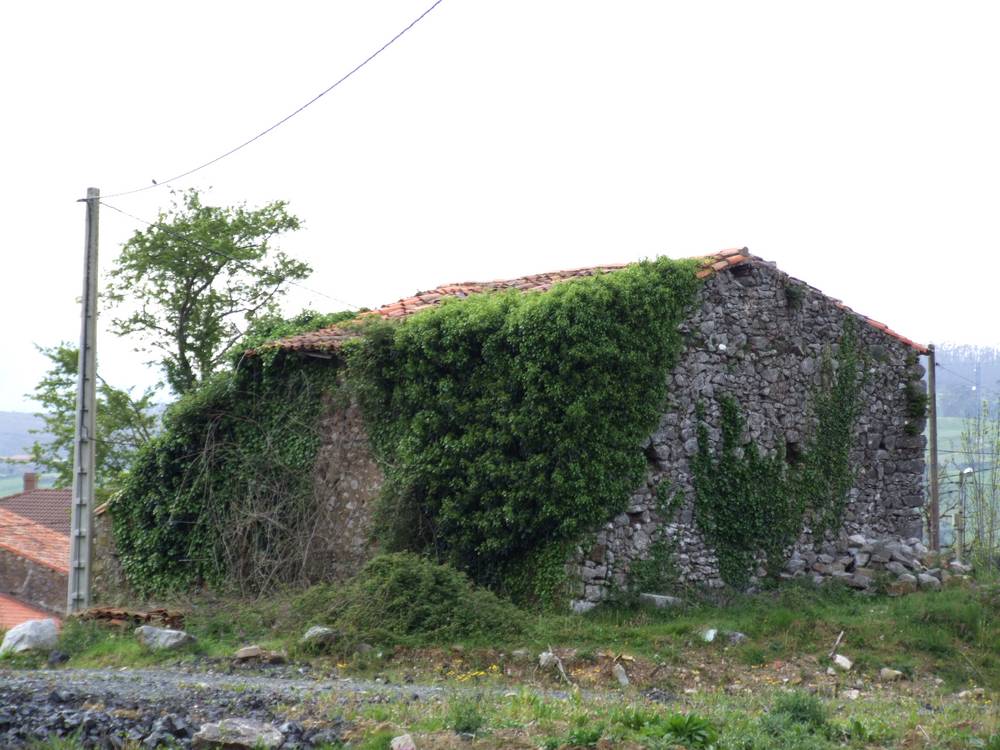 Foto de Pamanes (Cantabria), España