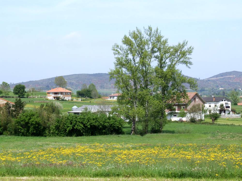 Foto de Penagos (Cantabria), España