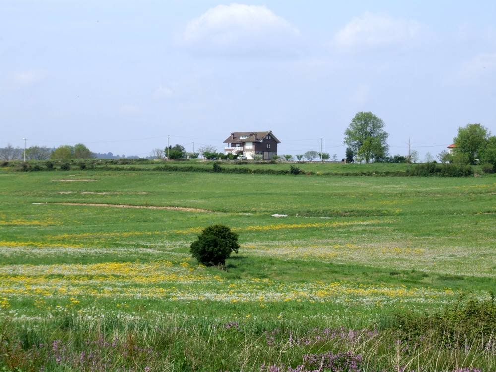 Foto de Penagos (Cantabria), España