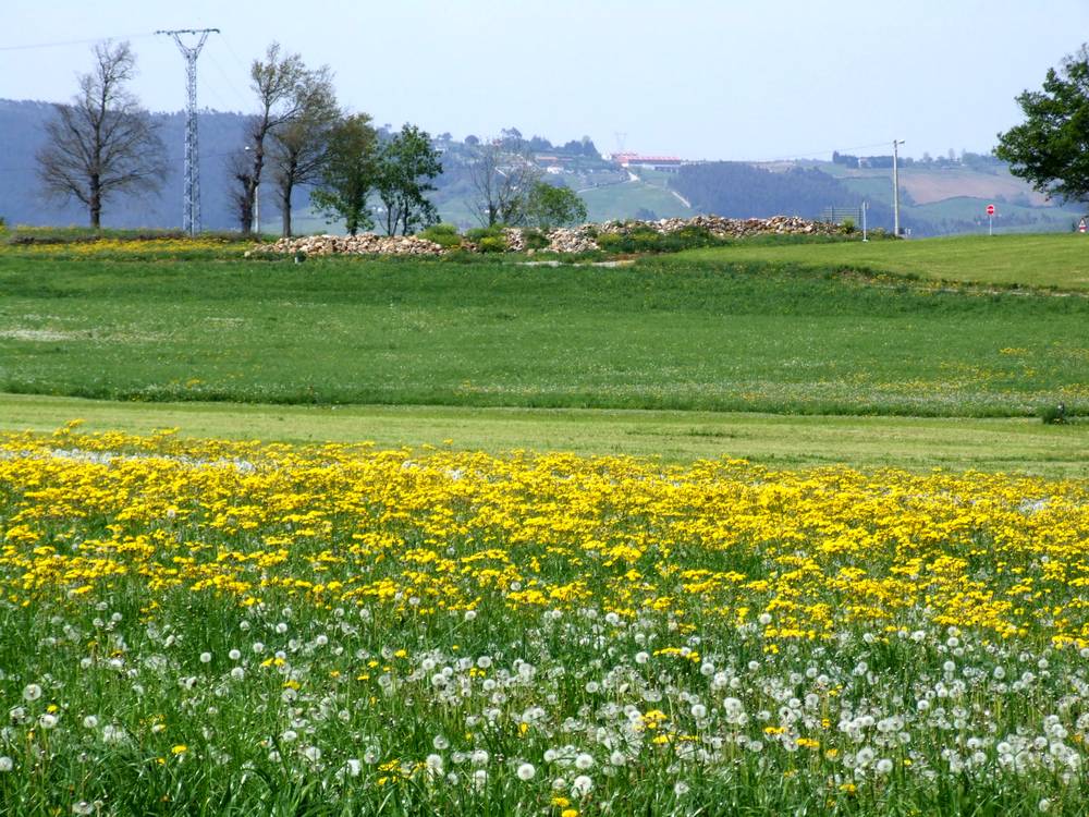 Foto de Penagos (Cantabria), España