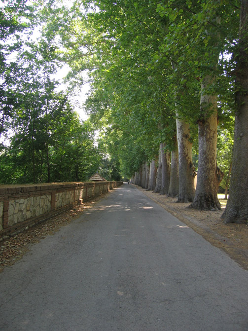 Foto de Madrid (Comunidad de Madrid), España