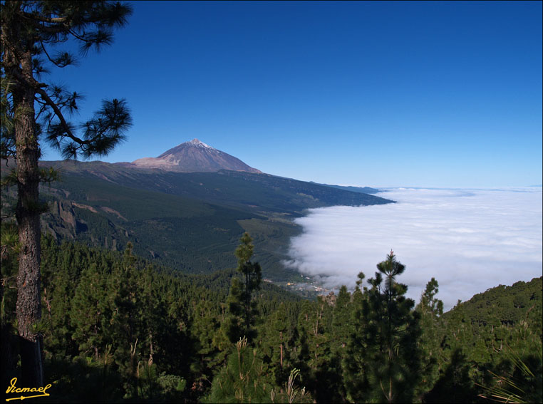 Foto de Teide - Tenerife (Santa Cruz de Tenerife), España