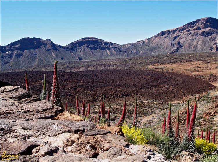 Foto de Teide - Tenerife (Santa Cruz de Tenerife), España