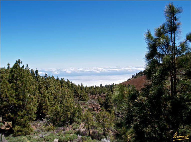 Foto de Teide - Tenerife (Santa Cruz de Tenerife), España