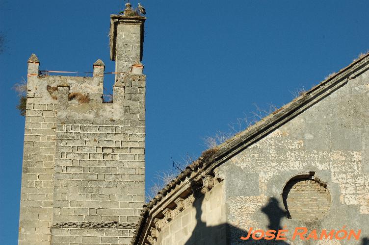 Foto de Jerez  de la Frontera (Cádiz), España