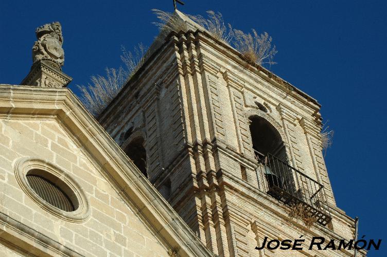 Foto de Jerez  de la Frontera (Cádiz), España