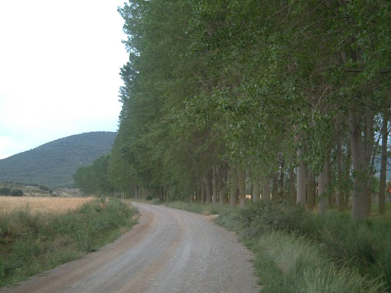 Foto de Ólvega (Soria), España