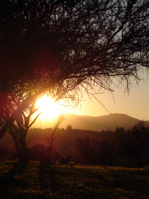 Foto de VILLA ALEMANA, Chile