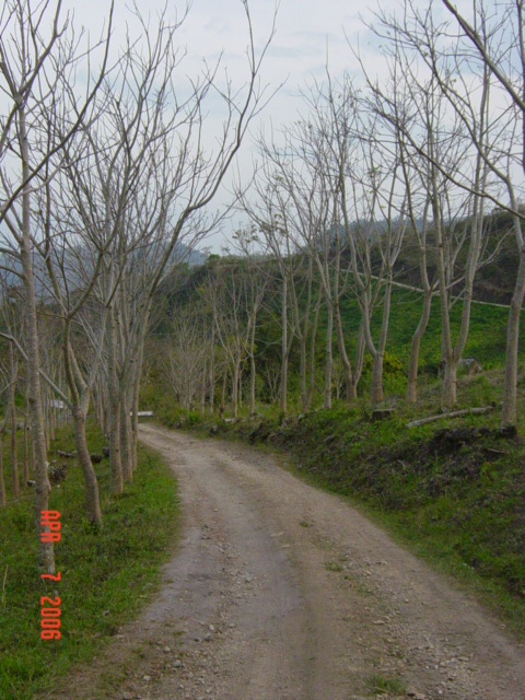 Foto de Santa Barbara, Honduras