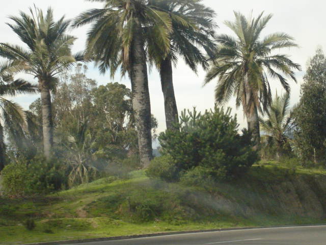 Foto de VIÑA DEL MAR, Chile