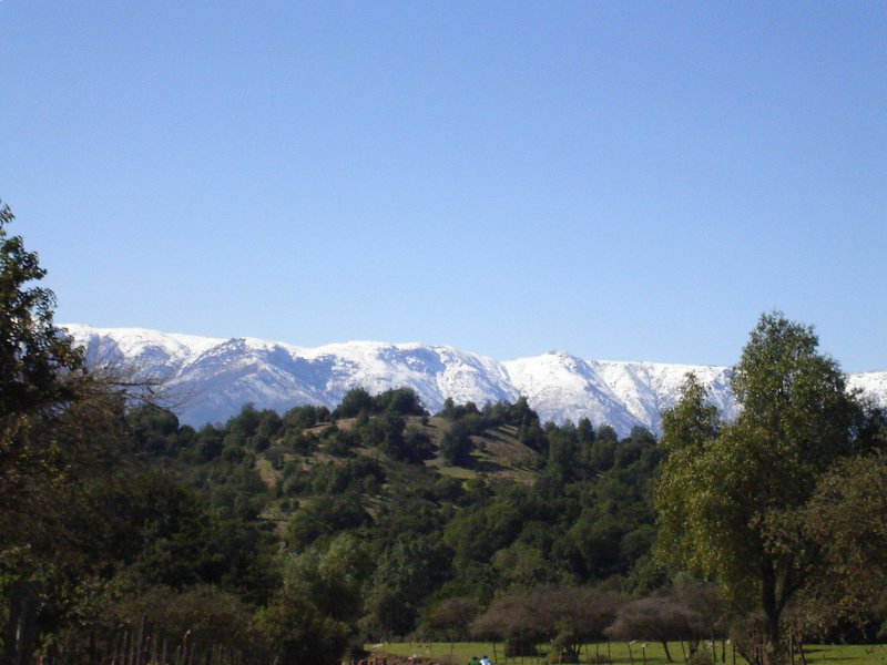 Foto de QUILPUE, Chile