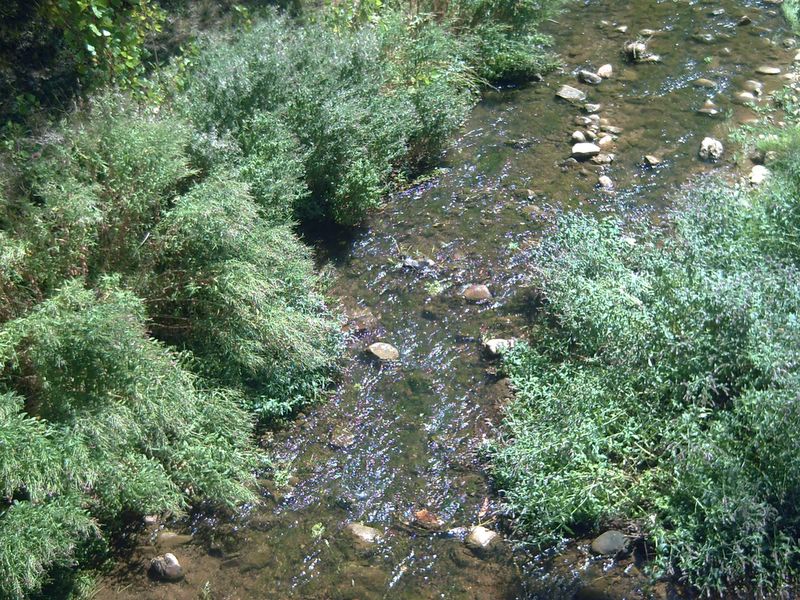 Foto de Respenda de la Peña (Palencia), España