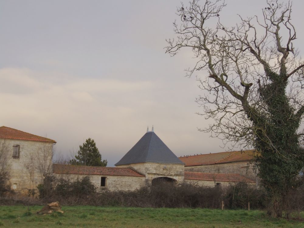 Foto de Le Chateau du Chevaliere (Francia), Francia