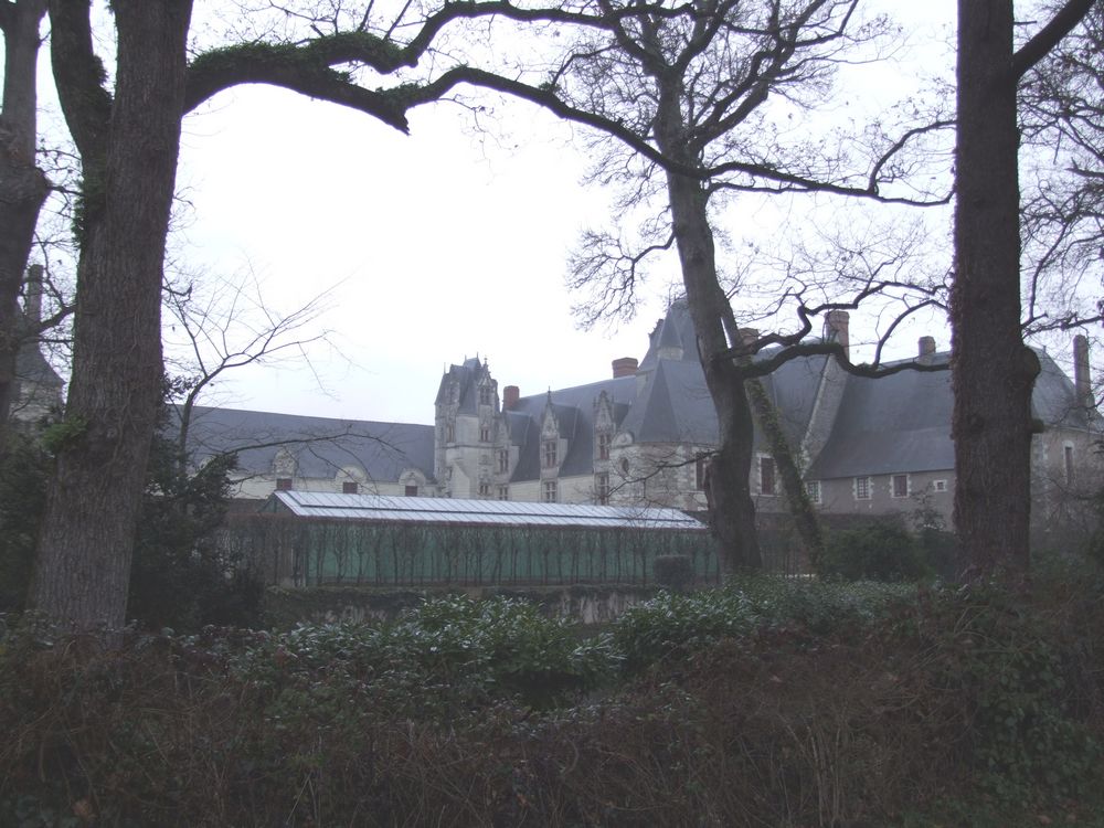 Foto de Le Chateau du Goulaine (Francia), Francia