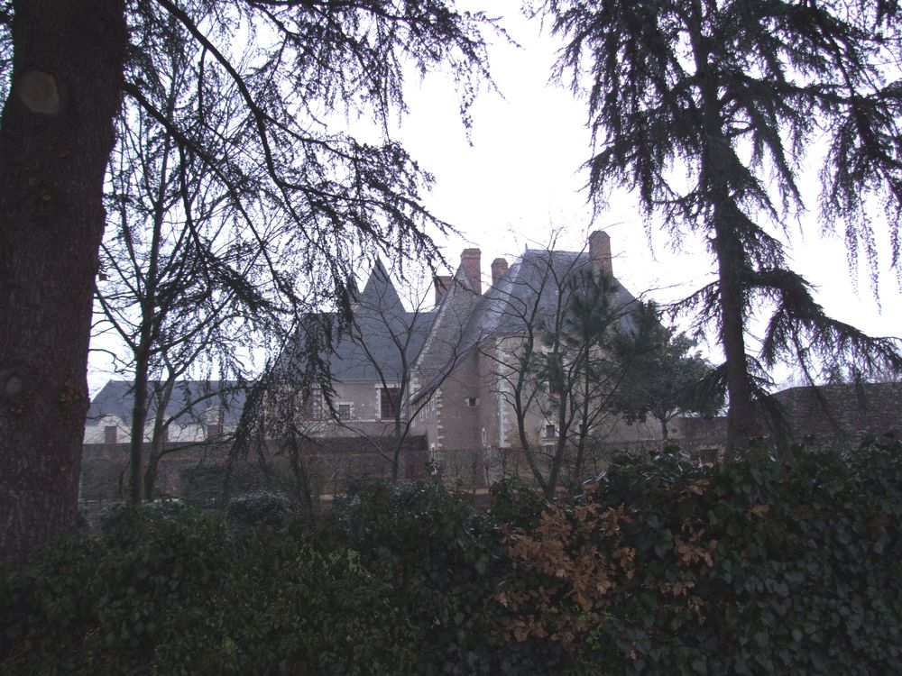 Foto de Le Chateau du Goulaine (Francia), Francia