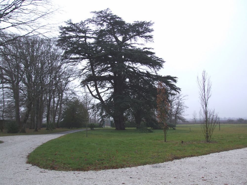 Foto de Le Chateau du Jaunay (Francia), Francia