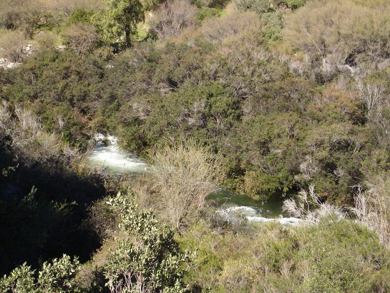 Foto de QUILPUE, Chile