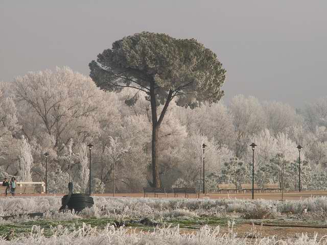 Foto de La Rioja, España