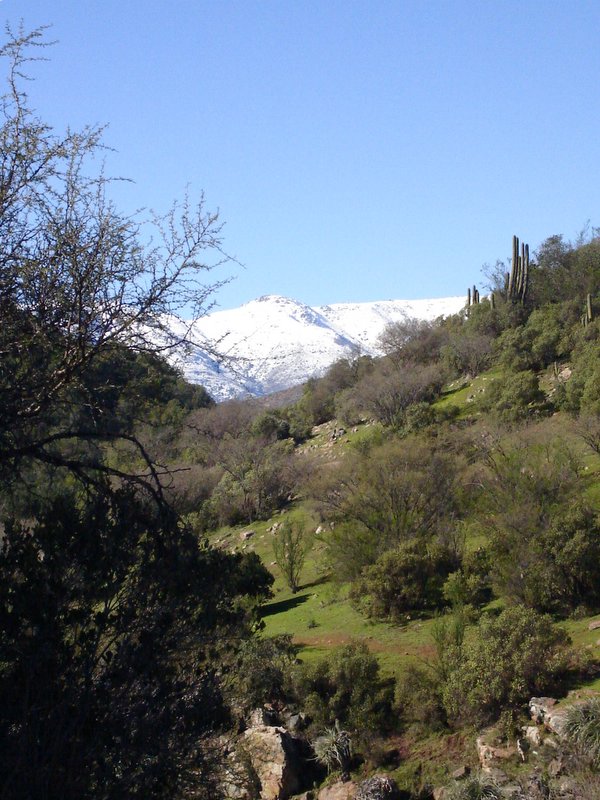 Foto de QUILPUE, Chile