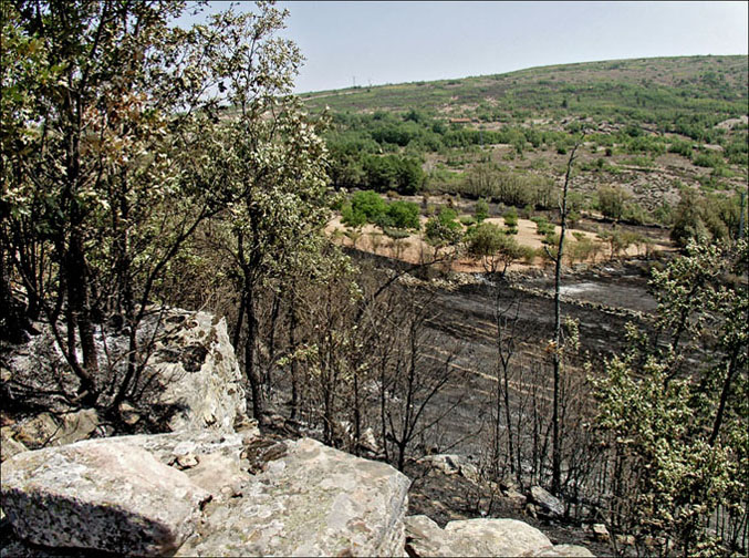 Foto de Alto Tajo (Guadalajara), España