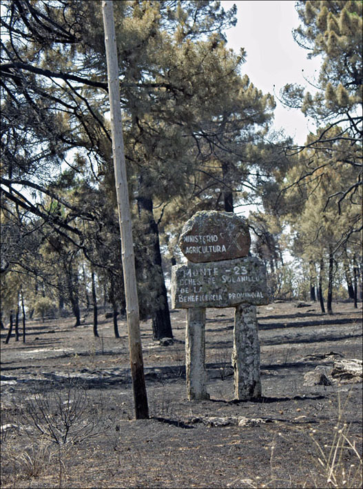 Foto de Alto Tajo (Guadalajara), España