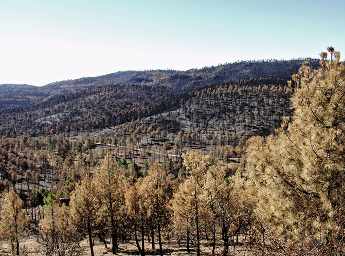 Foto de Alto Tajo (Guadalajara), España