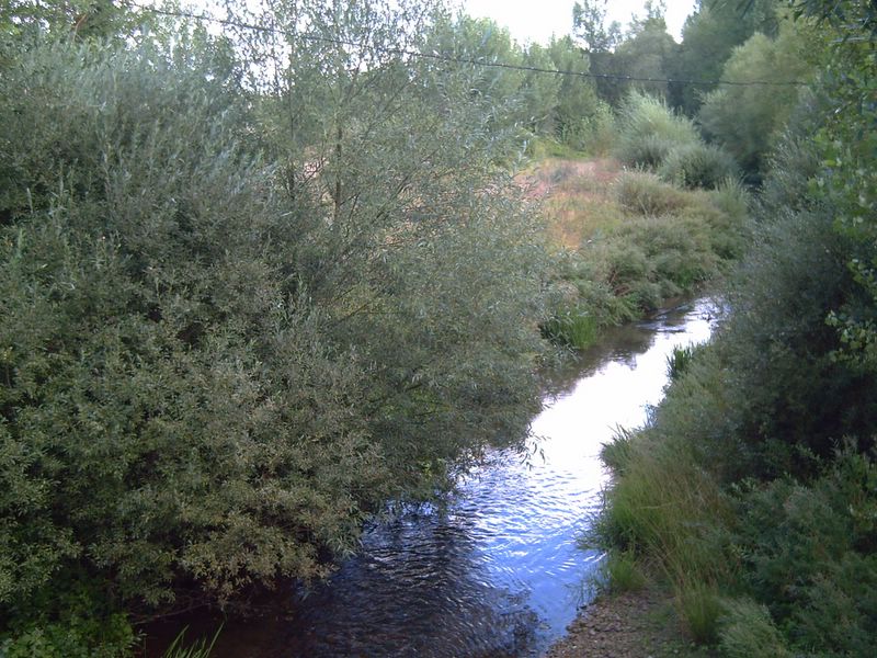 Foto de Vega de Riacos (Palencia), España