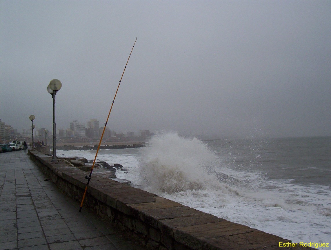 Foto de Mar del Plata, Argentina