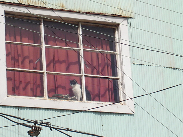 Foto de VALPARAISO, Chile