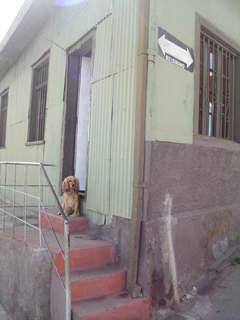 Foto de VALPARAISO, Chile