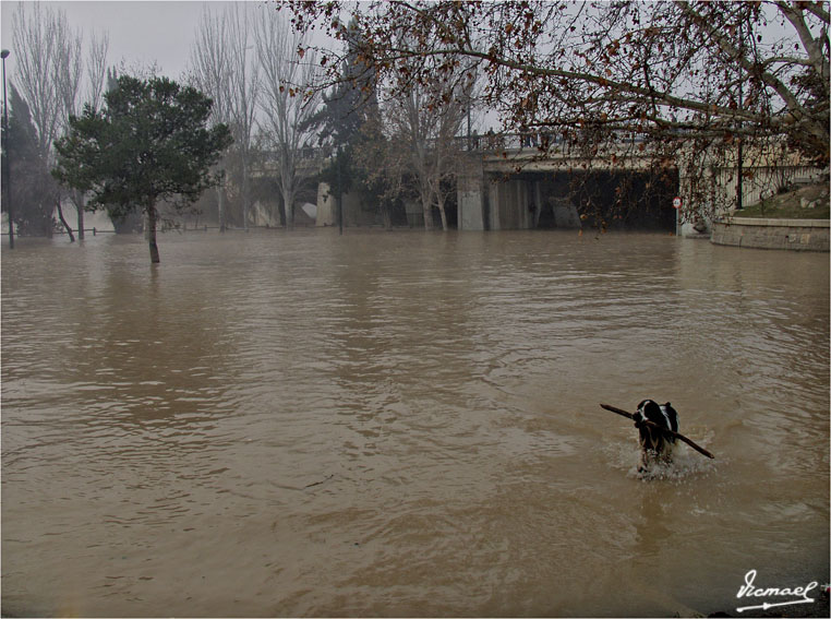 Foto de Zaragoza (Aragón), España