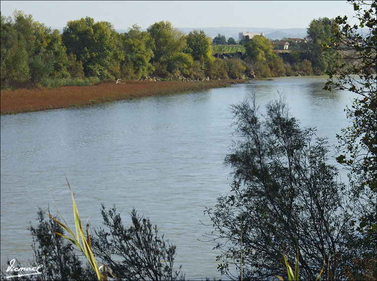 Foto de Zaragoza (Aragón), España