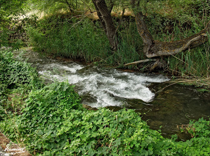 Foto de Somaen (Soria), España