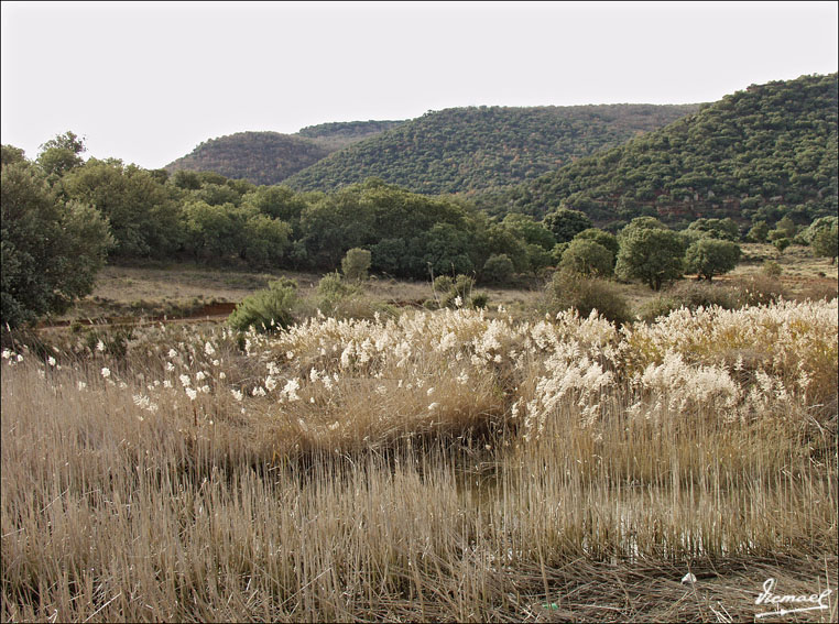 Foto de Somaen (Soria), España