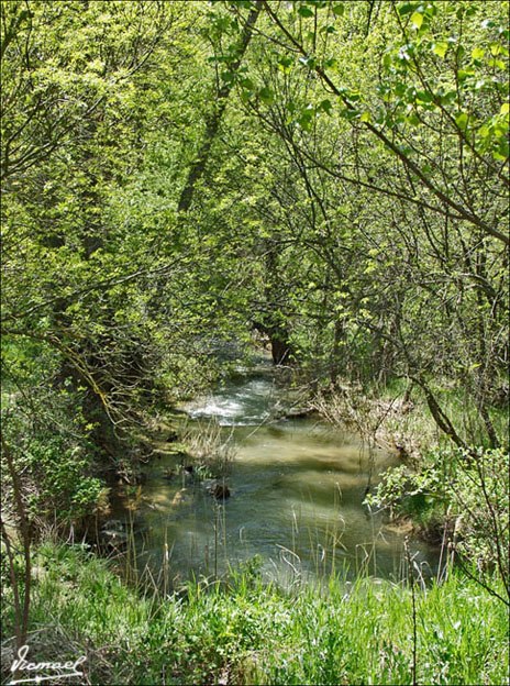 Foto de Somaen (Soria), España