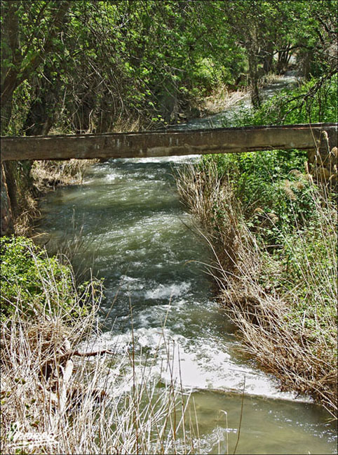 Foto de Somaen (Soria), España