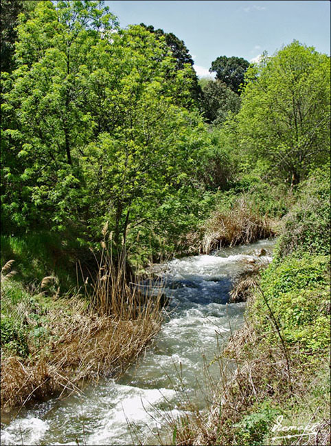 Foto de Somaen (Soria), España