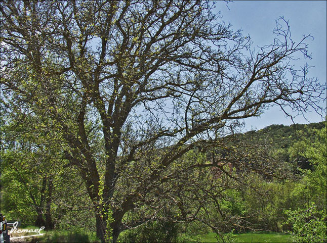 Foto de Somaen (Soria), España