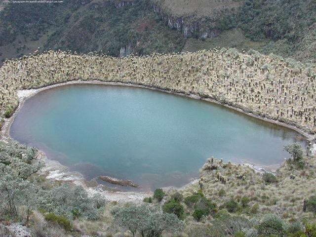 Foto de Santa Rosa de Cabal, Colombia